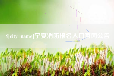 随县宁夏消防报名入口官网公告