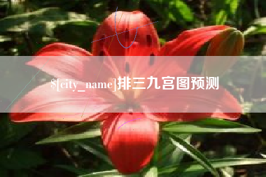 随县排三九宫图预测