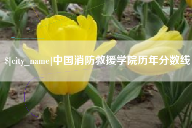 随县中国消防救援学院历年分数线
