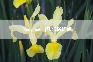 随县九宫格优点