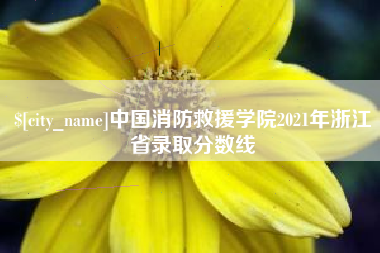 随县中国消防救援学院2021年浙江省录取分数线