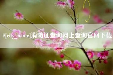 随县消防证查询网上查询官网下载