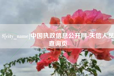 随县中国执政信息公开网-失信人员查询页