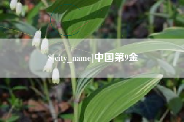 随县中国第9金