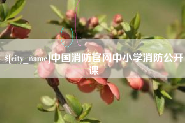 随县中国消防官网中小学消防公开课