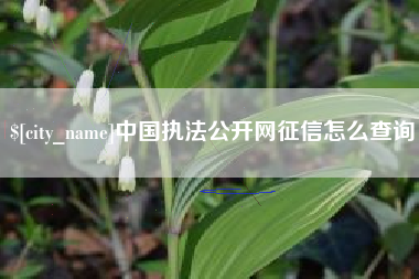 随县中国执法公开网征信怎么查询