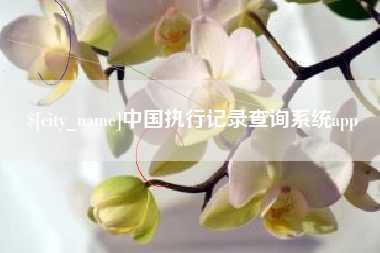 随县中国执行记录查询系统app