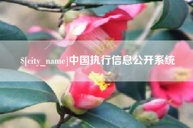 随县中国执行信息公开系统