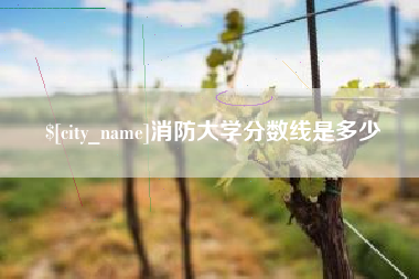 随县消防大学分数线是多少