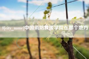 随县中国消防救援学院在那个地方