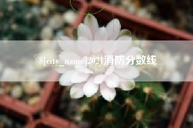 随县2021消防分数线