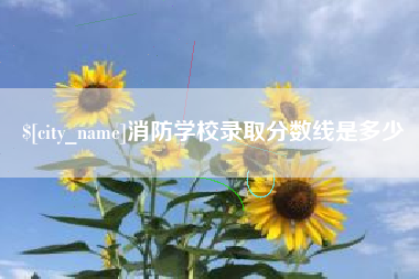 随县消防学校录取分数线是多少
