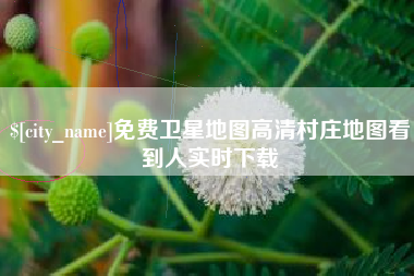随县免费卫星地图高清村庄地图看到人实时下载