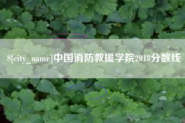 随县中国消防救援学院2018分数线