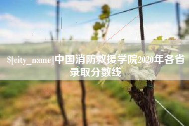随县中国消防救援学院2020年各省录取分数线