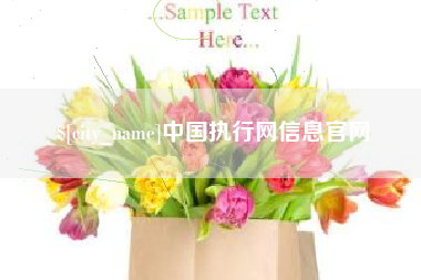 随县中国执行网信息官网