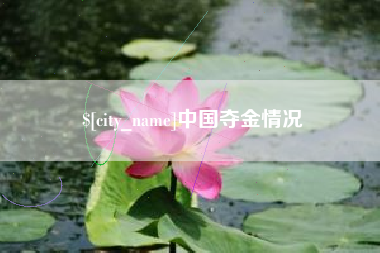随县中国夺金情况