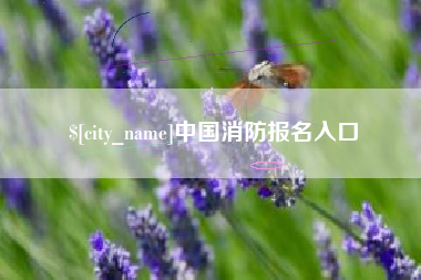 随县中国消防报名入口