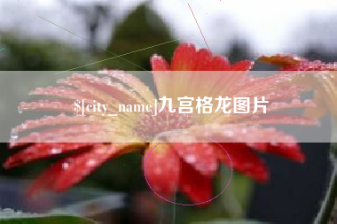 随县九宫格龙图片