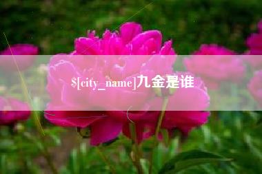 随县九金是谁