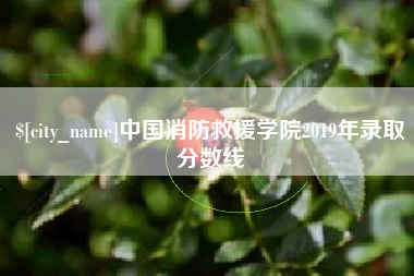 随县中国消防救援学院2019年录取分数线