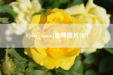 随县金牌图片2021