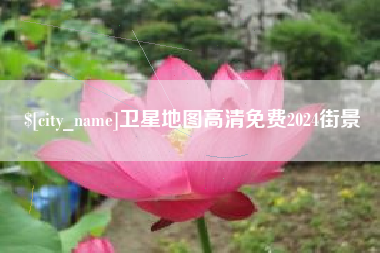 随县卫星地图高清免费2024街景