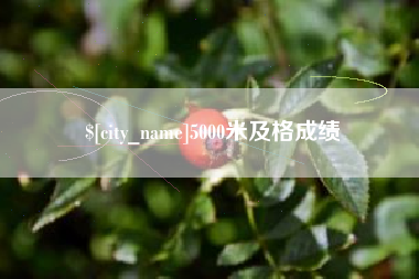 随县5000米及格成绩