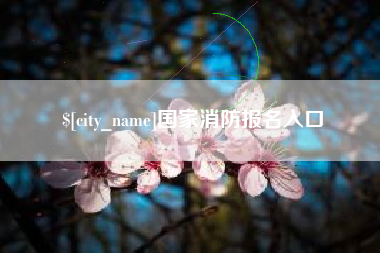 随县国家消防报名入口