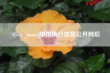 随县中国执行信息公开网后