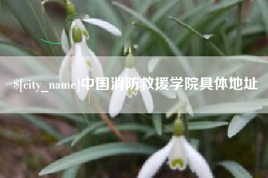 随县中国消防救援学院具体地址