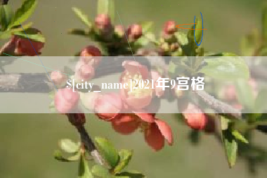随县2021年9宫格