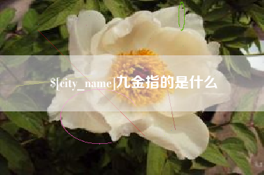 随县九金指的是什么