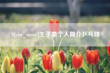 随县王子豪个人简介乒乓球
