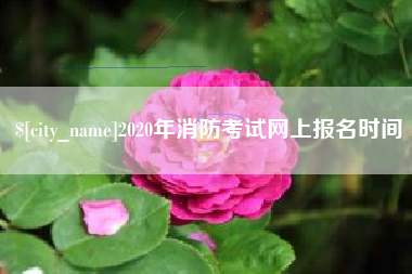 随县2020年消防考试网上报名时间