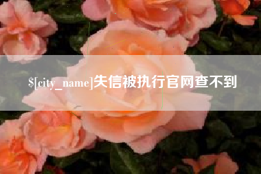 随县失信被执行官网查不到