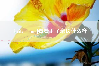 随县看看王子豪长什么样