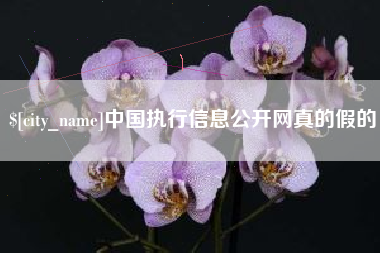 随县中国执行信息公开网真的假的