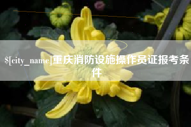 随县重庆消防设施操作员证报考条件