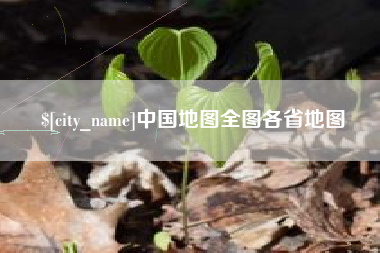 随县中国地图全图各省地图