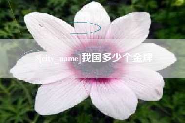 随县我国多少个金牌