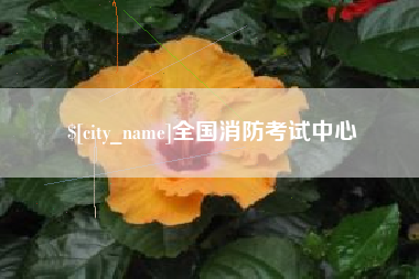 随县全国消防考试中心
