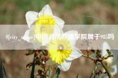 随县中国消防救援学院属于985吗