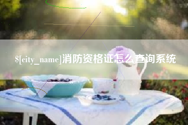 随县消防资格证怎么查询系统