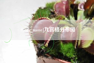 随县九宫格分布图