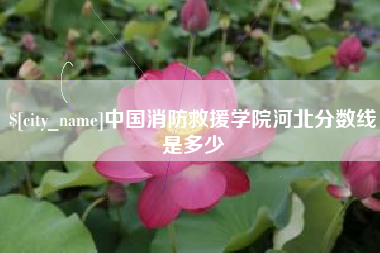 随县中国消防救援学院河北分数线是多少