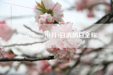 随县11月9日消防日全称