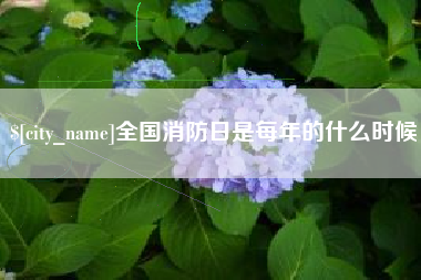随县全国消防日是每年的什么时候