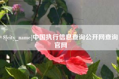 随县中国执行信息查询公开网查询官网
