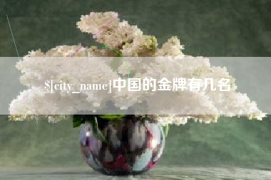 随县中国的金牌有几名